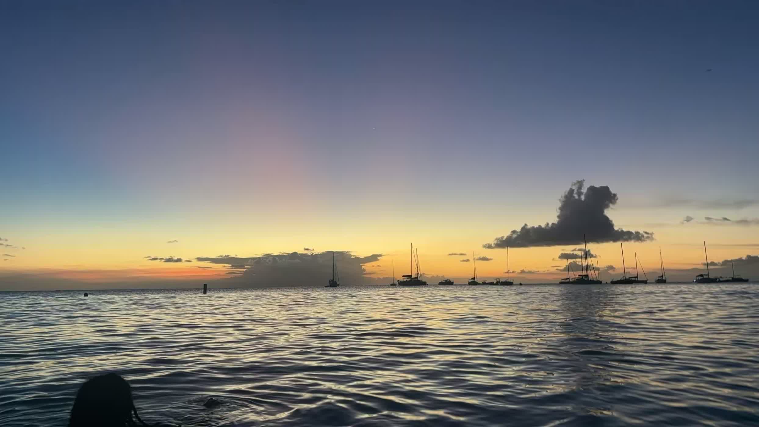 Sailboats silhouetted against a golden Caribbean sunset